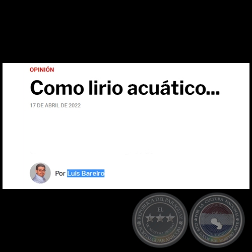 COMO LIRIO ACUÁTICO... - Por LUIS BAREIRO - Domingo, 17 de Abril de 2022